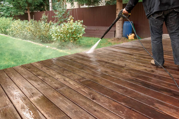 Animal Enclosure Cleaning in Burien, WA